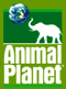 Animal Planet